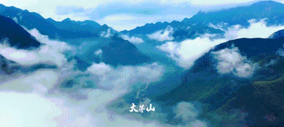 美图秀秀下载2023最新版