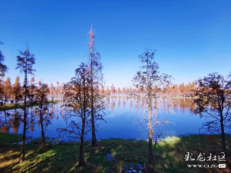 沪江开心词场